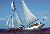 Zoom sur La Go&eacute;lette - Etoile - Format: 425x312 - 22ko