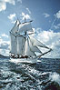 Zoom sur La Go&eacute;lette - Etoile - Format: 425x312 - 16ko

