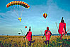 Out of Africa
