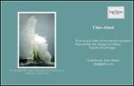 Zoom sur une e-card