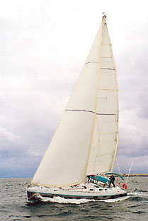 CigaleMer.jpg (16005 octets)