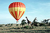 Balloon Safaris in Kenya