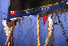 Sailor reflection