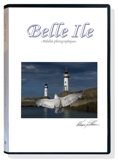 cliquez ici pour voir plus de photos